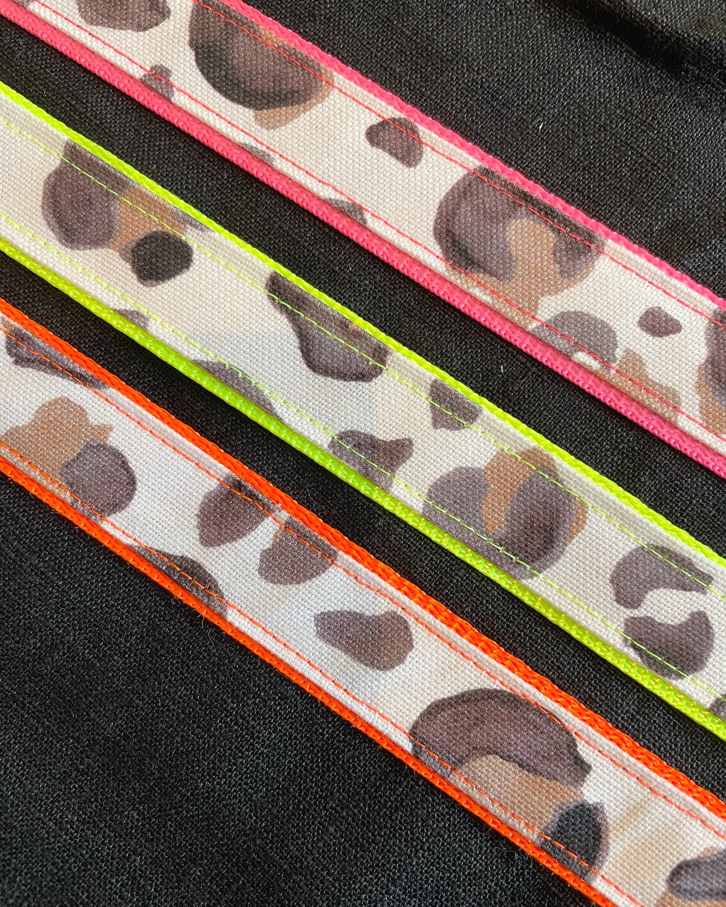 Halsband, verstellbar, Leo/ Neon
