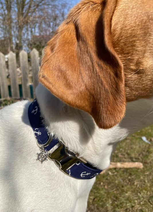 Halsband Seebär, verstellbar