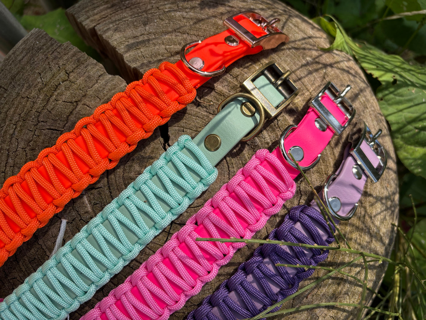 Halsband Biothane/ Paracord