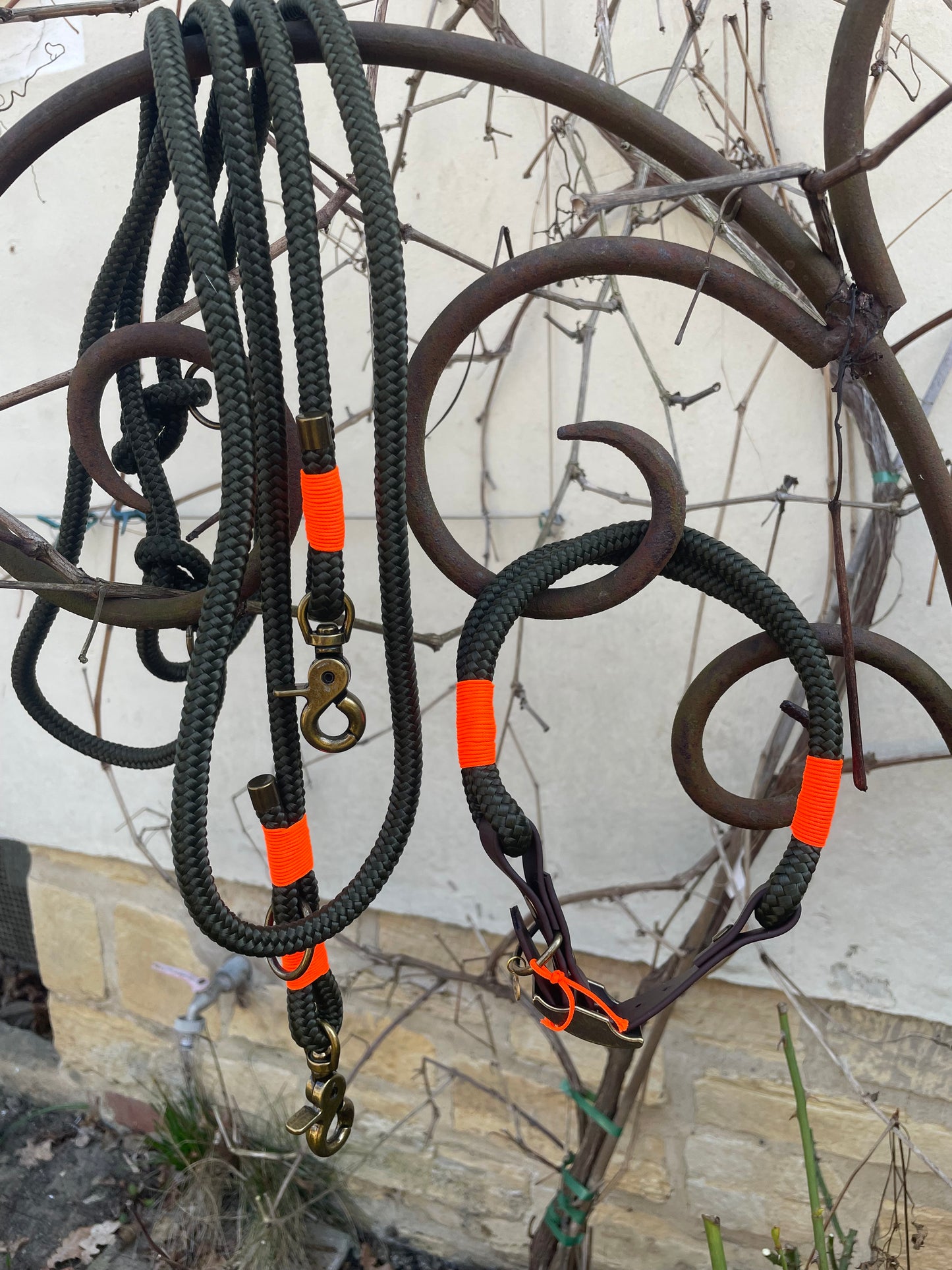 besonders praktisch: verstellbare 3 - Meter- Leine, 10mm stark
