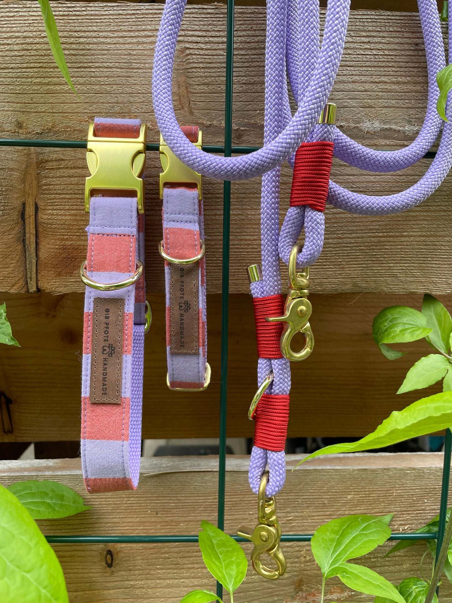 Halsband und Leine- Set "Summer- Stripes"