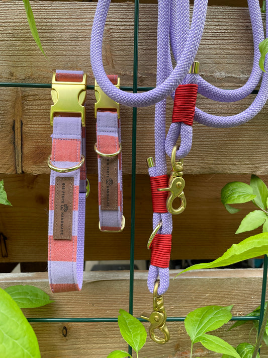 Halsband und Leine- Set "Summer- Stripes"